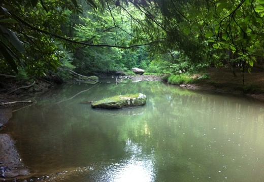 Clifty Wilderness